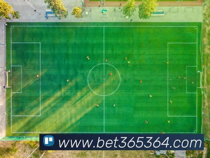 bet365中国官网服务体系